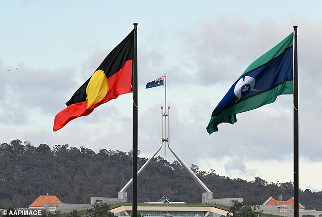 Woolworths could soon fly Aboriginal and Torres Strait Islander flags outside its stores as part of the supermarket giant's reconciliation action plan