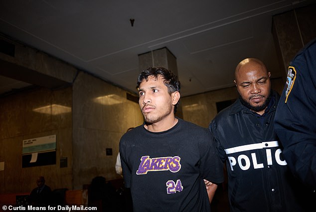 Jhoan Boada, 22, was arrested Monday night and charged with attempted assault on a police officer and gang assault after the shocking raid in New York City