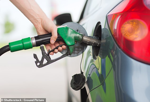 Which one?  member described public charging infrastructure as 'dismal' and claimed it is 'infinitely more complex' to charge an electric car than to buy petrol (Stock Image)