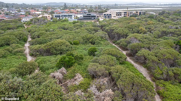 View of houses at the tree removal site in Swansea Heads, NSW