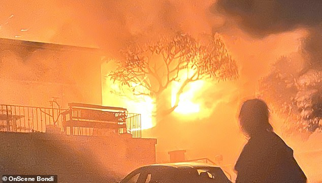 Jordan Shanks, who uses the name FriendlyJordies online, gained national attention when his home in Sydney's beachside suburb of Bondi was bombed in November 2022 (pictured)