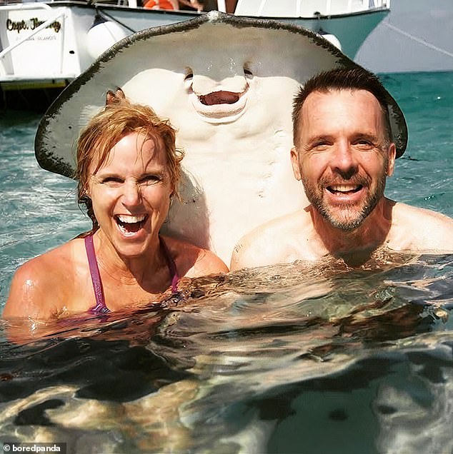 All smiles!  A very happy stingray appeared to grin at the camera as it jumped out of the water behind a couple in the sea in Grand Cayman