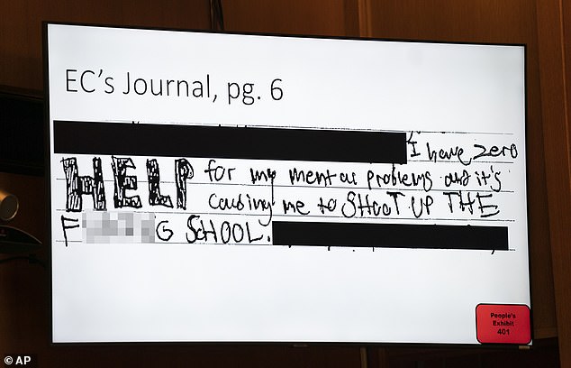 In a diary entry shown on Thursday, Ethan wrote: 'I have no help for my mental issues and it's making me shoot up the damn school'