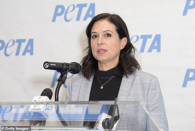 Lisa Lange, PETA's senior VP of communications, wrote the scathing letter, saying she 