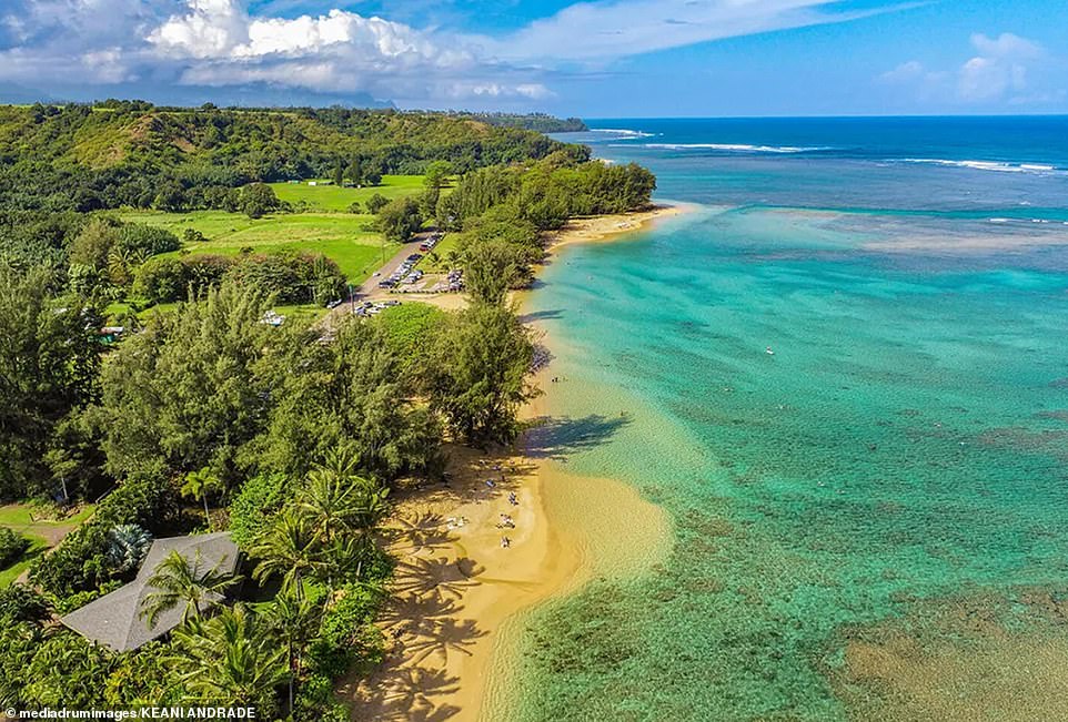 The seller, Aranzazu Casal, the widow of Apple software engineer François Jouaux, revealed that she loved watching the sea turtles swimming along the coast