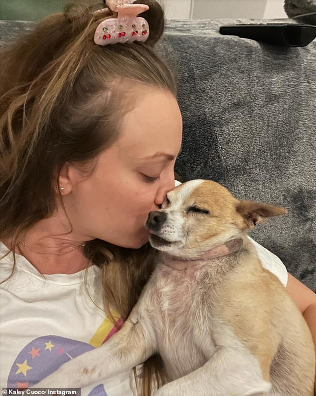 'There are no words to describe our dearest little Kingy.  He was the first dog @tommypelphrey and I rescued together and honestly the most special,” the flight attendant actress wrote in her post