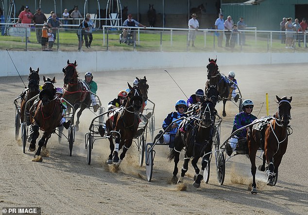 Yole was found to have recorded the results of two races and a number of his horses have now been removed from race meetings in Australia