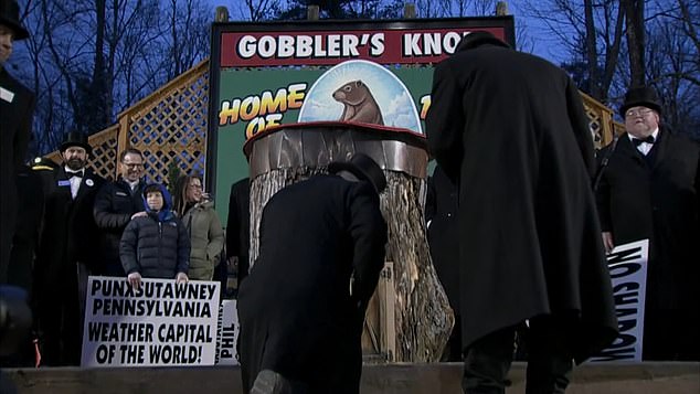 About 10,000 people have come to Punxsutawney in recent years, where festivities begin in the dead of night and culminate in the midwinter forecast.