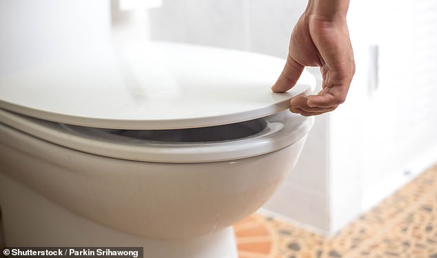 Surprisingly, the researchers found that leaving the lid open or closed made no statistically significant difference to the spread of bacteria in the bathroom.