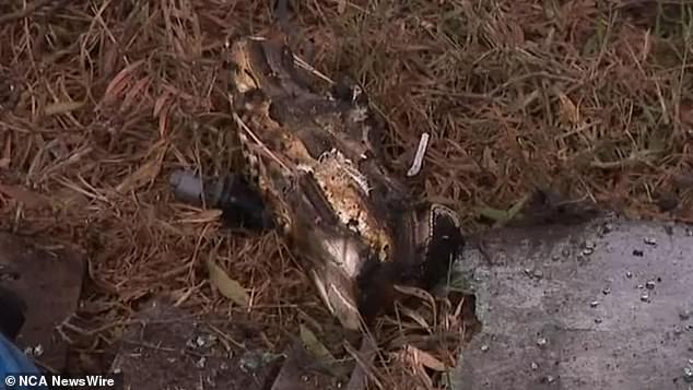 A burnt shoe was seen at the crash site on Saturday morning.  Image: 9News