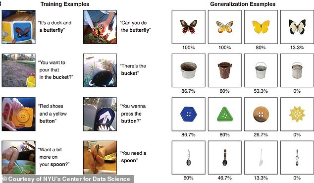 The CVCL model accurately matched images and text about 61.6 percent of the time.  Depicted is the object that the AI ​​was able to determine based on viewing the images