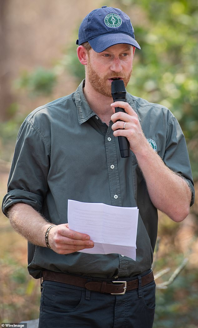 Prince Harry served as president of African Parks for six years until he was elevated to the board of directors