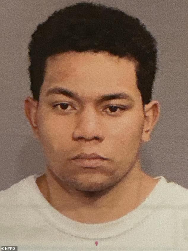 Yorman Reveron, one of five migrants charged with gang assault, previously charged with shoplifting in New York