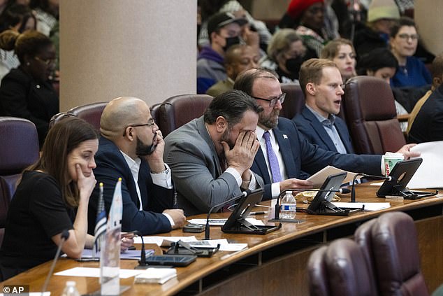 Silverstein's colleagues on the city council remained silent as she was harassed by the crowd