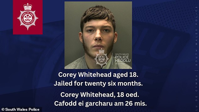 Whitehead, 18, was jailed for twenty-six months