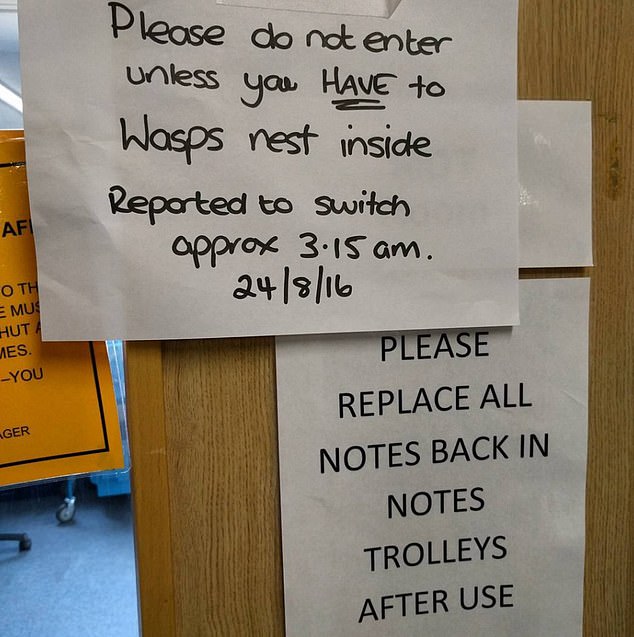 This wasp infestation warning sign was apparently placed at an unnamed NHS trust in 2016.  Sent to the X account @SignsofHealth