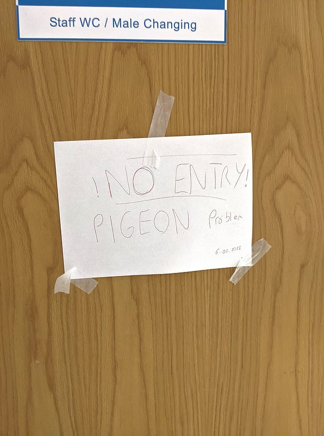 This 2022 “NO ENTRY PIGEON Problem” alert is yet another example of animal pests plaguing the day-to-day operations of healthcare.  This was posted by nurse from Cardiff @georgecxde