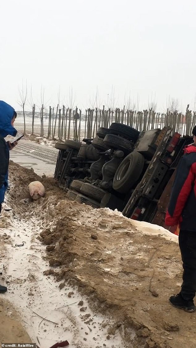 The driver was unable to support their weight and they eventually had to be pulled from the water using an excavator