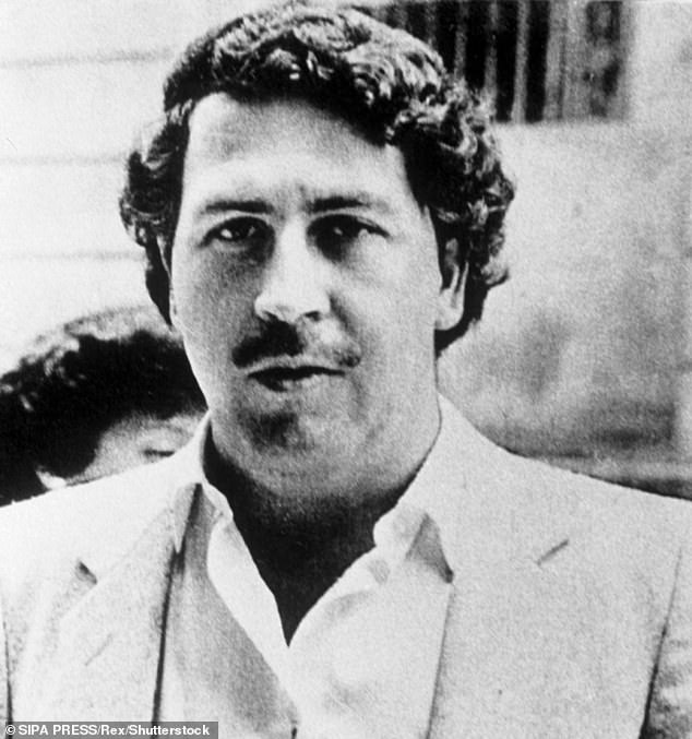 Pablo Escobar founded his own personal zoo at his Hacienda Napoles estate in the 1980s, when he went out and bought 1,900 exotic and wild animals from a zoo in Dallas.  The collection included four hippos, which today have grown to 169