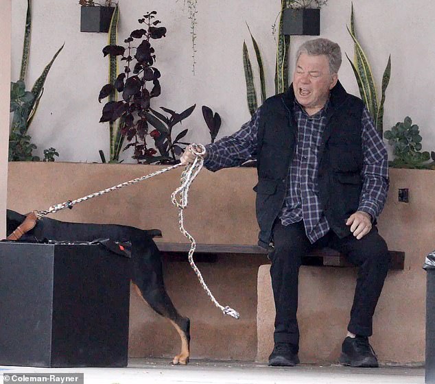 Shatner was seen pulling on the leash and yelling at the mischievous, fussy pooch