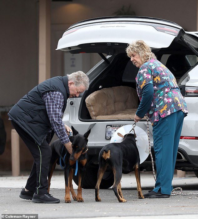 After about an hour, the puppies emerged and were cleared to go home, although one wore a protective cone around its neck