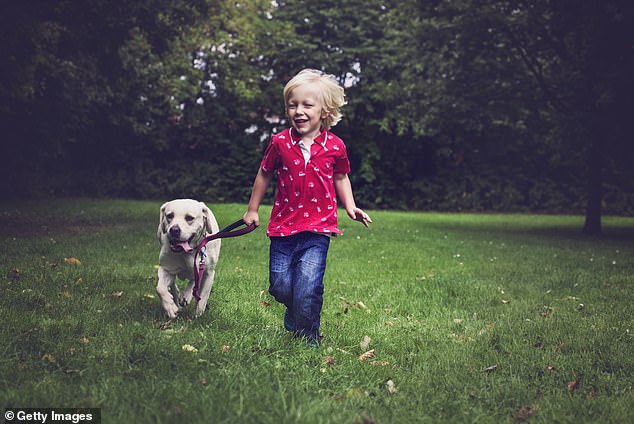 Researchers followed 600 children between the ages of two and seven for three years (stock image)