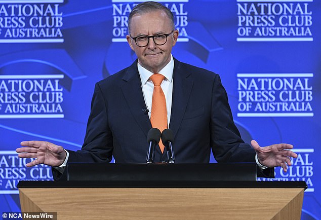 Prime Minister Anthony Albanese has tinkered with the Morrison-era tax cuts, taking up to $4,000 from people earning more than $200,000, to ensure all taxpayers get some reprieve.