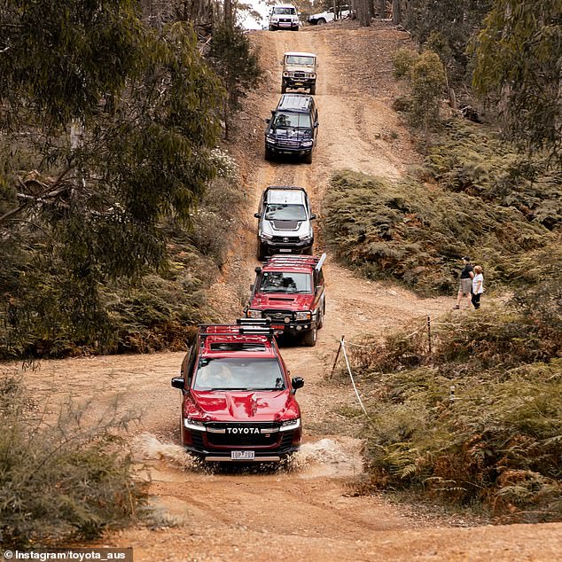 Fuel efficiency standards are also designed to tackle climate change as part of Labour's plan to cut CO2 emissions by 43 percent by 2030 (pictured are Toyota all-wheel drive vehicles)