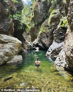 Set among small rocky valleys, the magical pools of often crystal clear water are at the end of a moderately challenging walk through the lush forest of ferns and towering trees