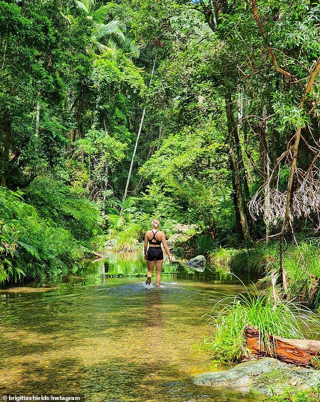 The shorter modified walk along Northbrook Creek takes 30 minutes one way.  Hikers will find the creek after 350 meters and can follow it along the path or the gently flowing water