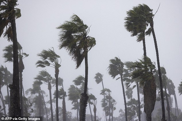 Palm trees blown away by strong winds as the second and most powerful of two atmospheric river storms hits Santa Barbara, California