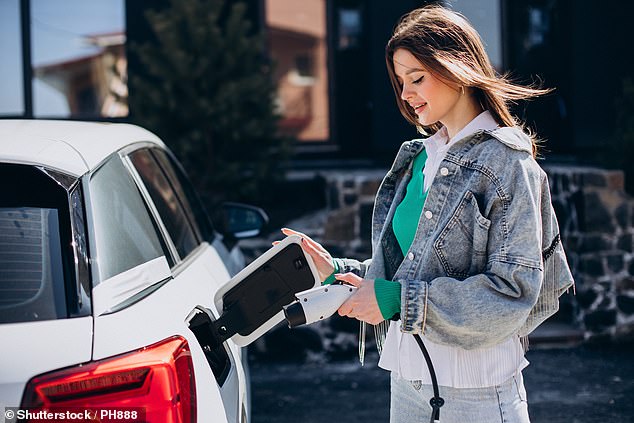 The committee heard from members of the public, including young people from the Youth Engagement Program, as well as charging point providers, manufacturers and ministers