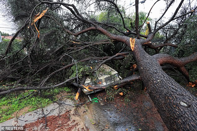 The National Weather Service has issued a flood warning for several California neighborhoods until 4 p.m. Tuesday.  A fallen tree lies on top of a car in Los Angeles on Monday