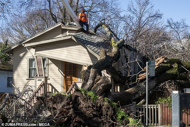 The Pineapple Express storm system has wreaked havoc across the Sunshine State