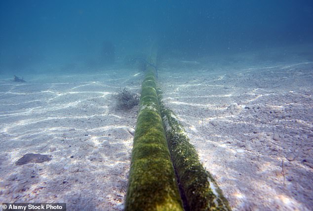 An undersea cable, some of which are not much wider than a snake and could be a target for Houthis