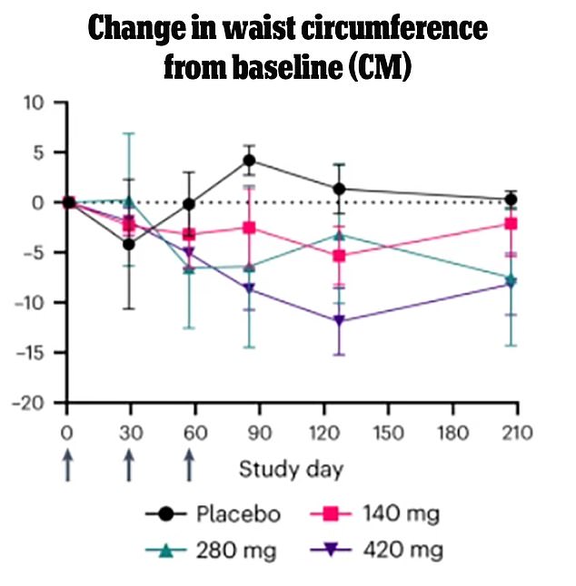 People who received the highest dose of the monthly injection saw a steady decrease in waist circumference.  The variability in centimeters lost reflects the large variability in such a small sample size of patients.  They also saw continued decline after the shots stopped