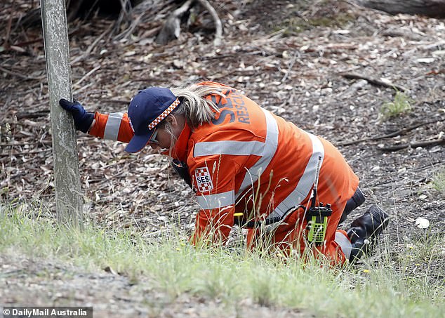 An SES employee searches for clues outside the Murphy complex