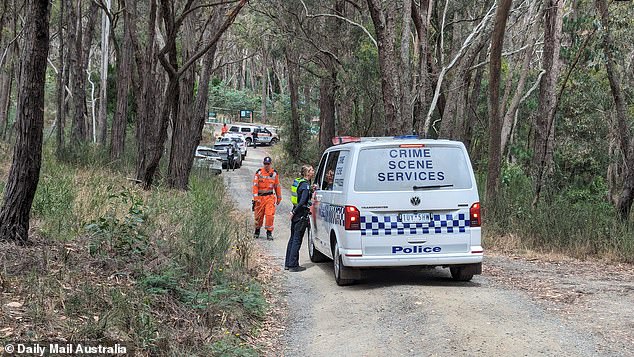 Victoria Police closed a hiking trail (above) in nearby state forest and kicked media out after finding an item of interest and declaring a crime scene