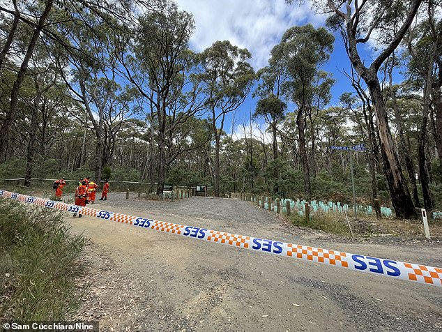 Daily Mail Australia witnessed detectives closely inspecting a new tree's plant protector after discovering an interesting item