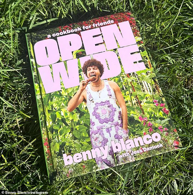 In addition to his musical endeavors, Blanco has also taken an interest in the culinary arts, as he will release a cookbook titled Open Wide in April.