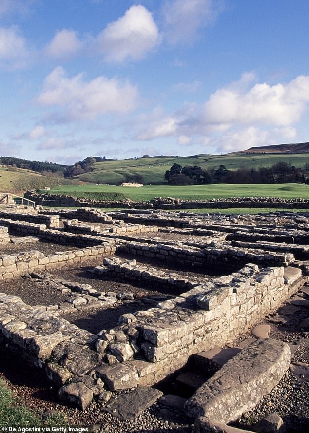 The discovery of bedbugs in Vindolanda (photo) tells us a lot about how people lived there