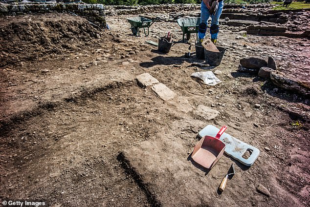 Many of the insect remains found at the site (pictured) lived in close proximity to humans and fed on waste food and dung.  This suggests that the Roman camp may not have been as clean as previously thought