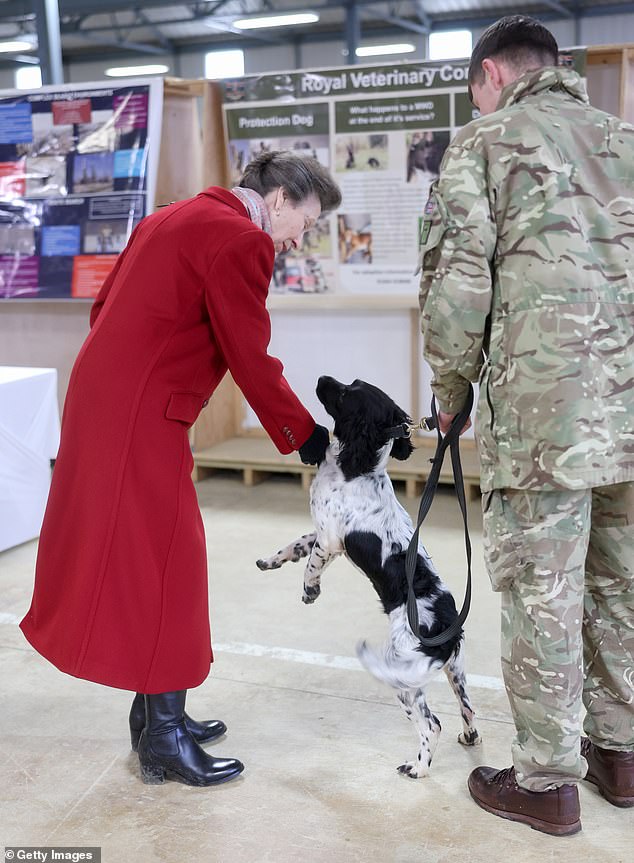 Anne is greeted by a protection dog during her visit to the Defense Explosive Ordnance Disposal Training Regiment