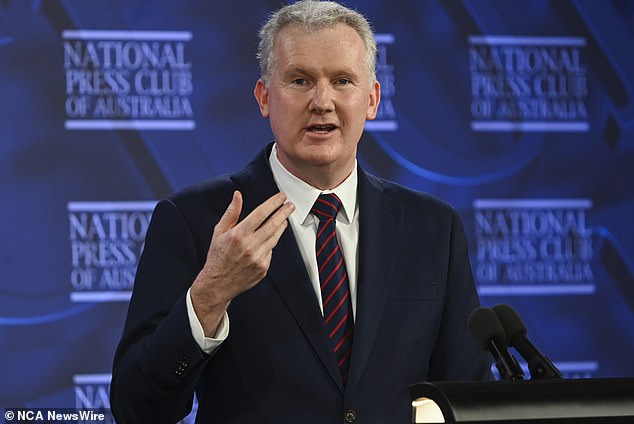 A majority of Australian senators have now expressed support for the legislation, Employment Minister Tony Burke of the ruling centre-left Labor Party said in a statement on Wednesday.