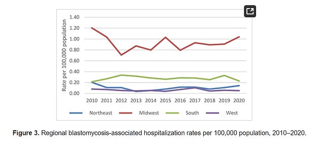 The fungus is endemic to the upper Midwest, the region where hospitalizations due to blastomycosis are most common.