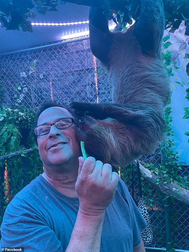 Hensley is said to have had the help of New York-based zoo owner Larry Wallach (pictured), who gave the Florida resident his permit to import the bears.  Wallach was cited for housing baby sloths in unapproved locations