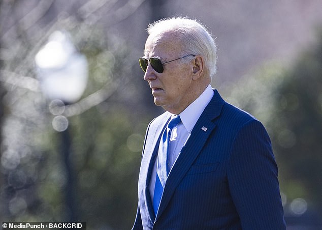 With the departure of Marianne Williamson from the Democratic primaries, President Joe Biden is left with just one mainstream rival, Minnesota Rep.  Dean Phillips, who has campaigned on the president's age and fitness for office.