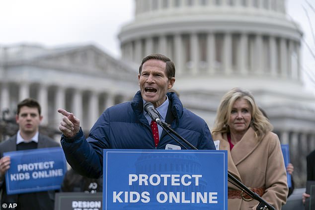 The advisory groups' reluctance to work with the panel upset Senator Richard Blumenthal