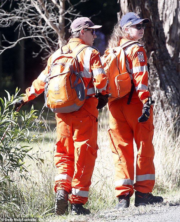 Women taking part in the search (pictured) for Mrs Murphy have been urged to travel through the woods in pairs, never alone