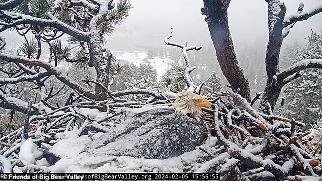 The devoted mother was seen covered in snow at some points but did not flinch